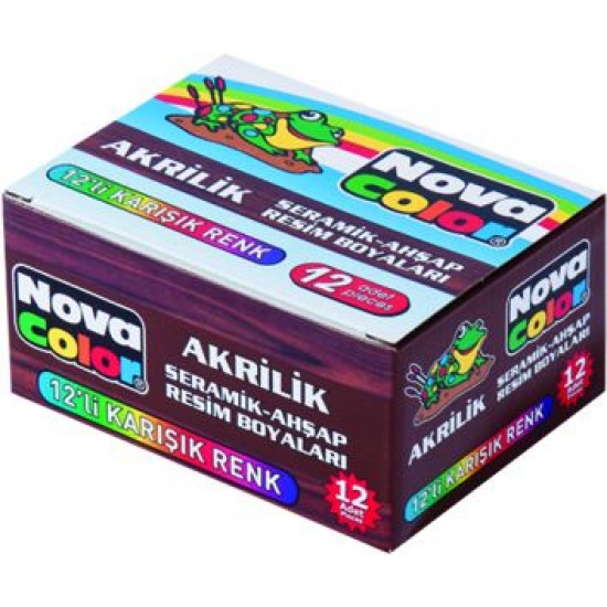 NOVA COLOR NC-179 AKRİLİK BOYA ŞİŞE 12 Lİ TK.