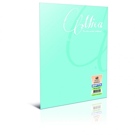 GIPTA 1704 MICA PP KAP.OFSET DEFTER  A4   60/1