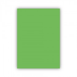 Bigpoint Fon Kartonu 50x70cm 120 Gram Açık Yeşil