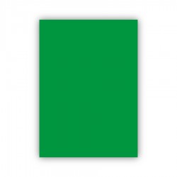 Bigpoint Fon Kartonu 50x70cm 120 Gram Koyu Yeşil