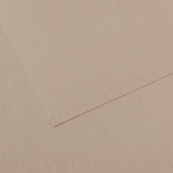 CANSON 122 FON KARTONU 50X65 FLANEL GRİ 200321364
