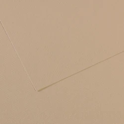 CANSON 343 FON KARTONU 50x65 GRİ