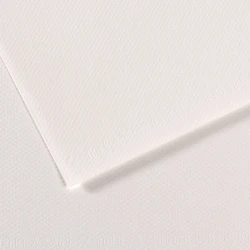 CANSON 335 FON KARTONU 50x65 BEYAZ C200271104