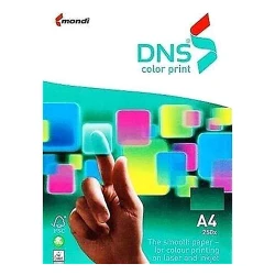 DNS NE1016 RENKLİ FOTOKOPİ KAĞIDI A-4 200 GR 250 Lİ
