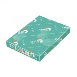 DNS NE1020 RENKLİ FOTOKOPİ KAĞIDI  A-4 250 GR 200 LÜ