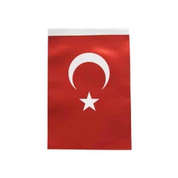 İNTER B-008 TÜRK BAYRAĞI 100X150