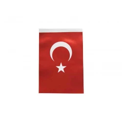 İNTER B-007 TÜRK BAYRAĞI 80X120