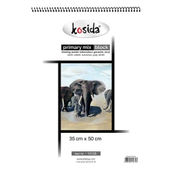 KOSİDA PAİNTİNG MİX BLOCK 35X50 25Y.KHM-10 195E