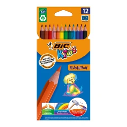 BİC EVOLUTION KURUBOYA  12Lİ  829029