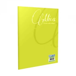 GIPTA 1703 MICA PP KAP.OFSET DEFTER  A4   40/4