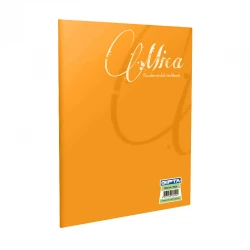 GIPTA 1706 MICA PP KAP.OFSET DEFTER  A4   60/0