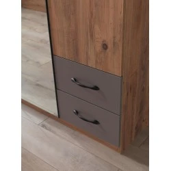 Aynalı 4 Kapılı 4 Çekmeceli Gardırop Elbise Dolabı 170x55x210cm