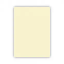 Bigpoint Fon Kartonu 50x70cm 160 Gram Fildişi