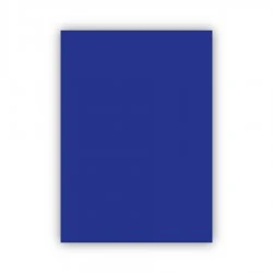 Bigpoint Fon Kartonu 50x70cm 160 Gram Lacivert