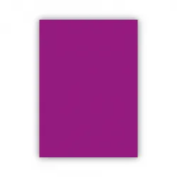 Bigpoint Fon Kartonu 50x70cm 160 Gram Mor