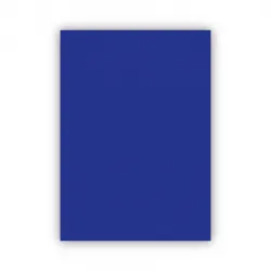 Bigpoint Fon Kartonu 50x70cm 120 Gram Lacivert