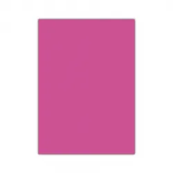 Bigpoint Fosforlu Fon Kartonu 50x70cm Pembe